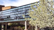 Spring time on campus with the skybridge in view.