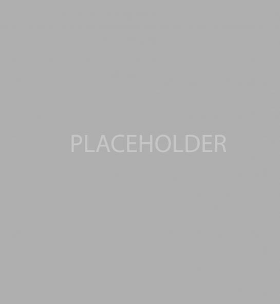 Placeholder image in grey