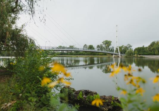 View of the Venderly Family Bridge in springtime.
