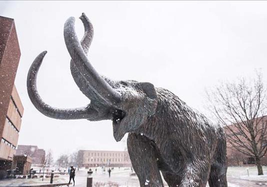 Bronze mastodon statue in the snowy Alumni Plaza