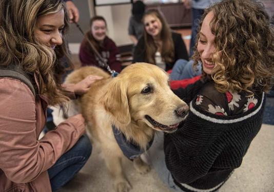 Two students are petting a therapy dog
