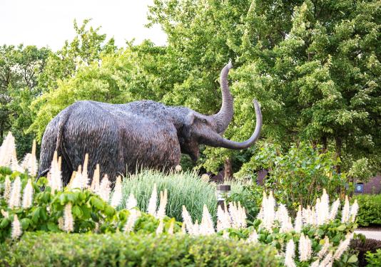 Mastodon statue