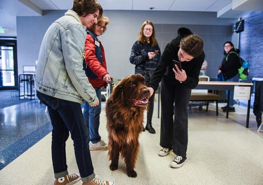 Students are petting a therapy dog