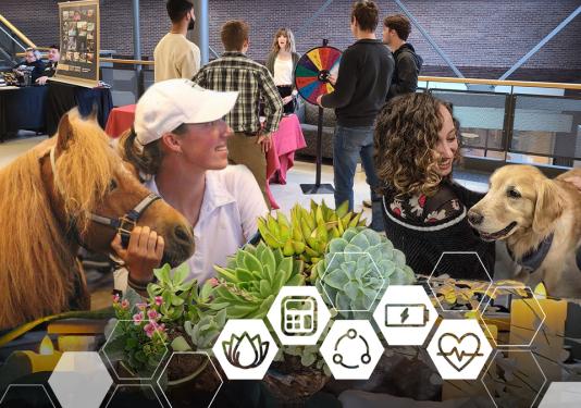 Students petting therpay dogs and miniature horses, planting potted plants, palying games at vendor resource fair, enjoying self-care spa activities and more at the Well-being Summit