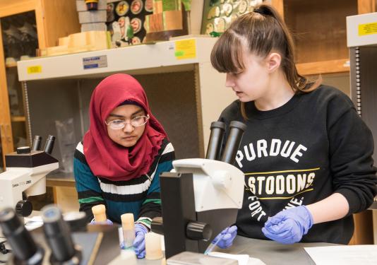 Students in a biology lab.
