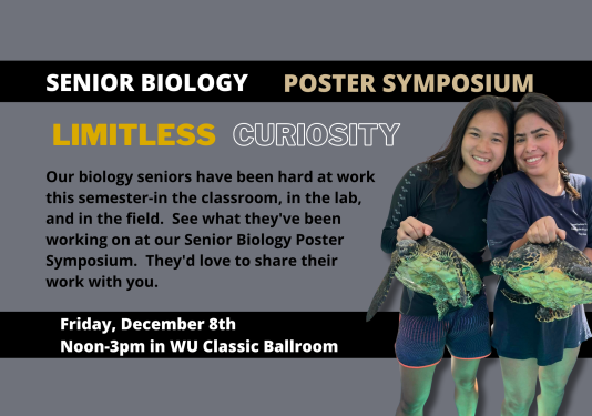 Students holding sea turtles
