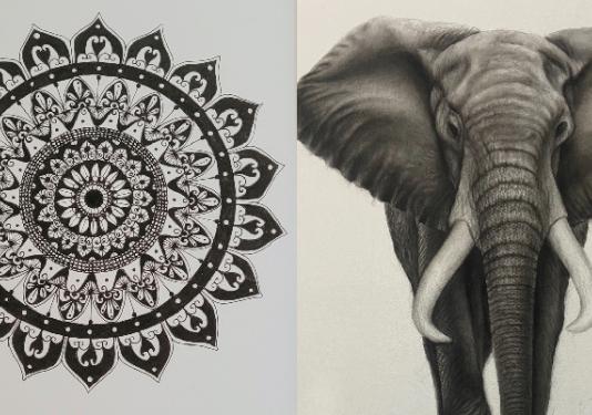 elephant portrait