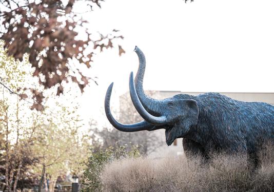 Mastodon statue in the late fall.