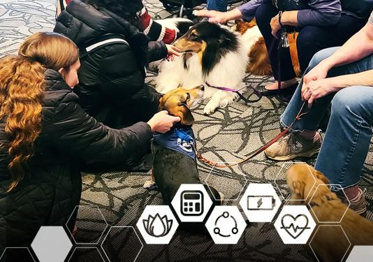 Students petting therapy dogs at the Well-being Summit