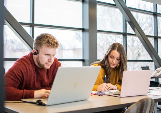 Students studying 