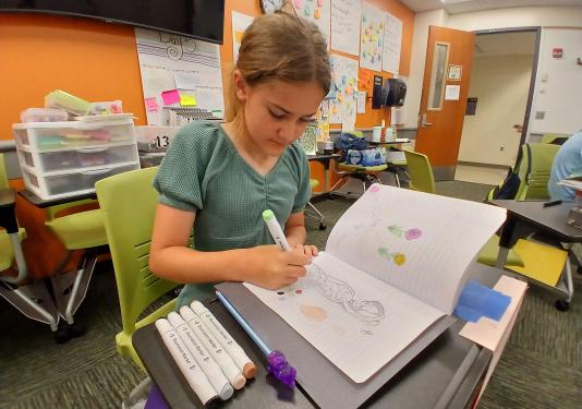 Chloe Hoffman, 11, a sixth grader at Maple Creek Middle School, works on a drawing as part of the Appleseed Writing Project summer camp at PFW.