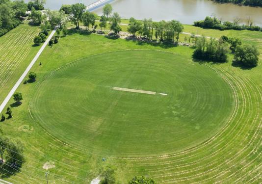 Cricket Pitch