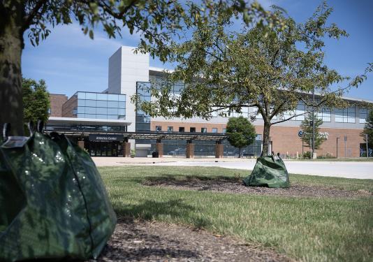New trees planted outside of the Lutheran Health Fieldhouse