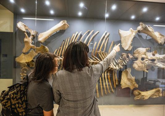 During the two days it took to mount the display, hundreds of PFW employees stopped by with many returning several times during the process to check on progress.