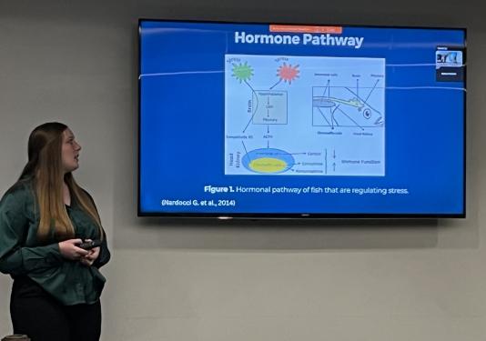 Image of student presenting at Honors Showcase 
