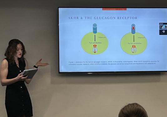 Honors Showcase photo example of previous presenter 