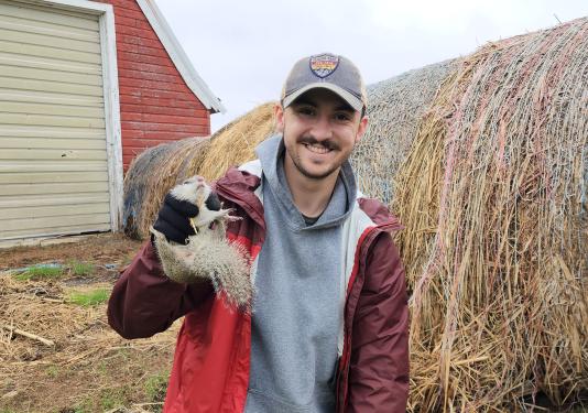Justin Moore, graduate research assistant, with a Franklin's ground squirrel.