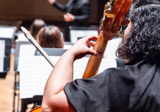 person playing the upright bass
