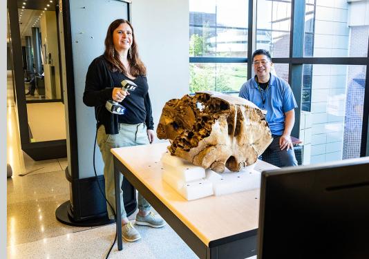 Library staffers Erika Mann and Daniel Lin were members of the team that performed a 3D scan of a baby mastodon skull.