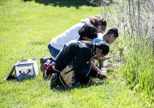 School children are working in a garden.
