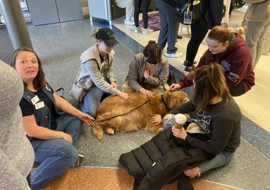a group of students sitting around a golden dog and petting it.