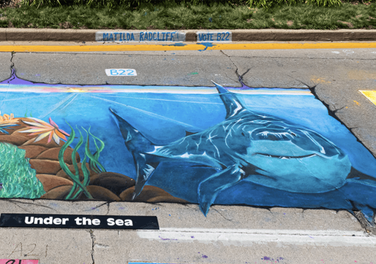 Chalk drawing of a shark on a city street