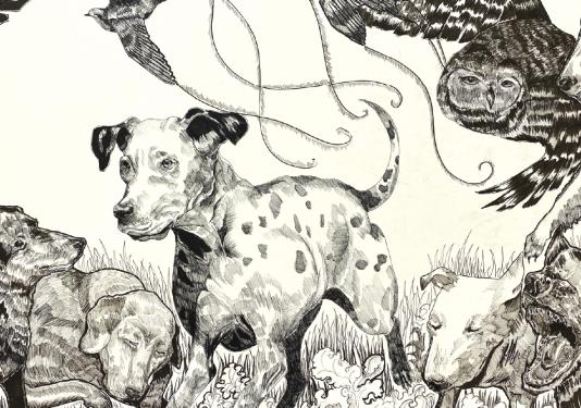 abstract dog