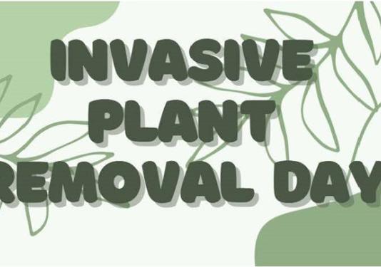 Green foliage background with the text Invasive Plant Removal Day