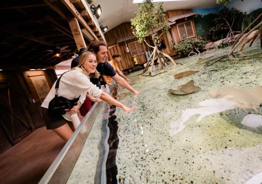 Three people are standing next to a tank containing sting rays
