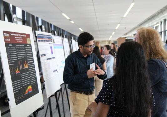 Student Presenting Project on Board