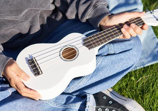person holding ukuele