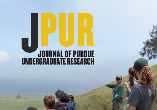 image of jpur issue