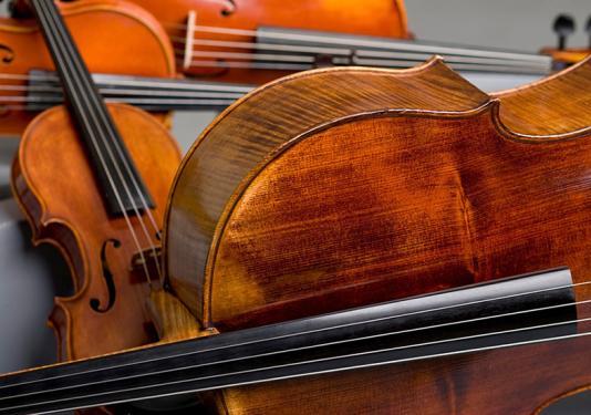 stringed instruments organized
