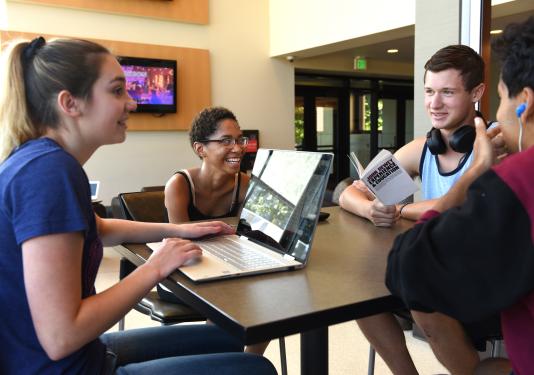 Students studying together.