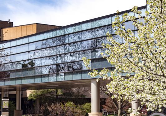 Spring time on campus with the skybridge in view.
