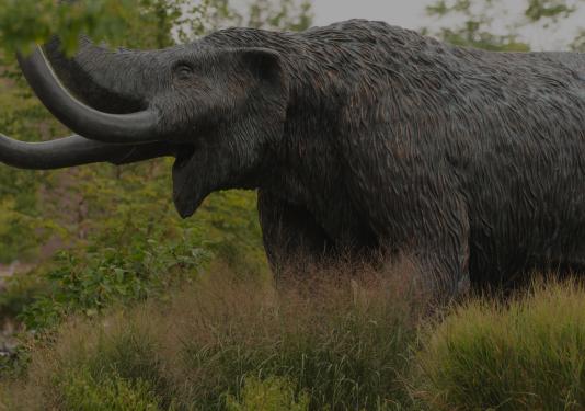 Mastodon Statue