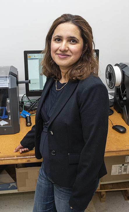 Portrait o Professor Behin Elahi 