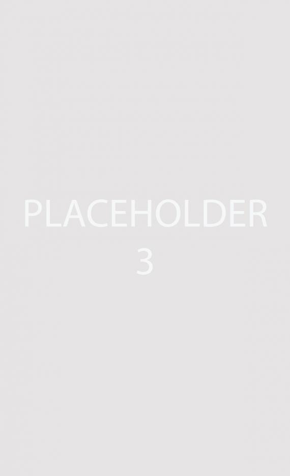 Placeholder image in grey option 3