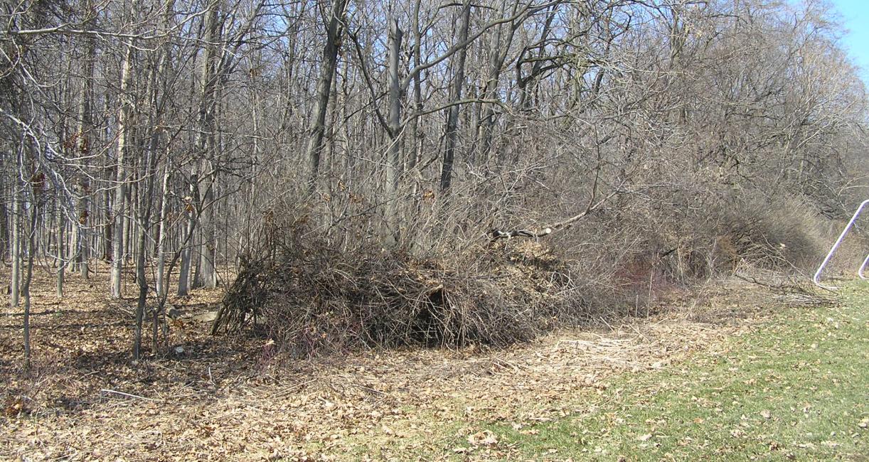 Before restoration