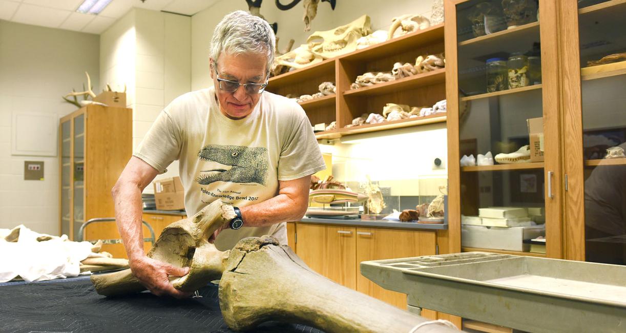 James Farlow is packing up mastodon bones for transport