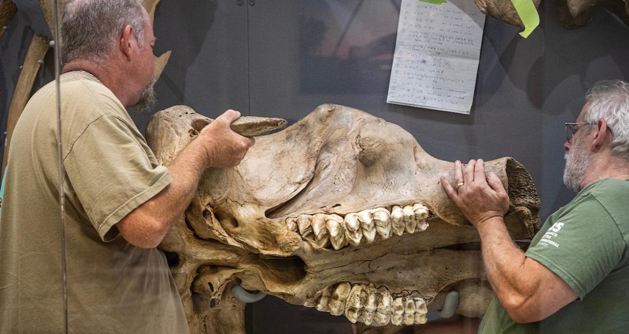 Placement of Edgar’s skull took various considerations to provide the best angle.