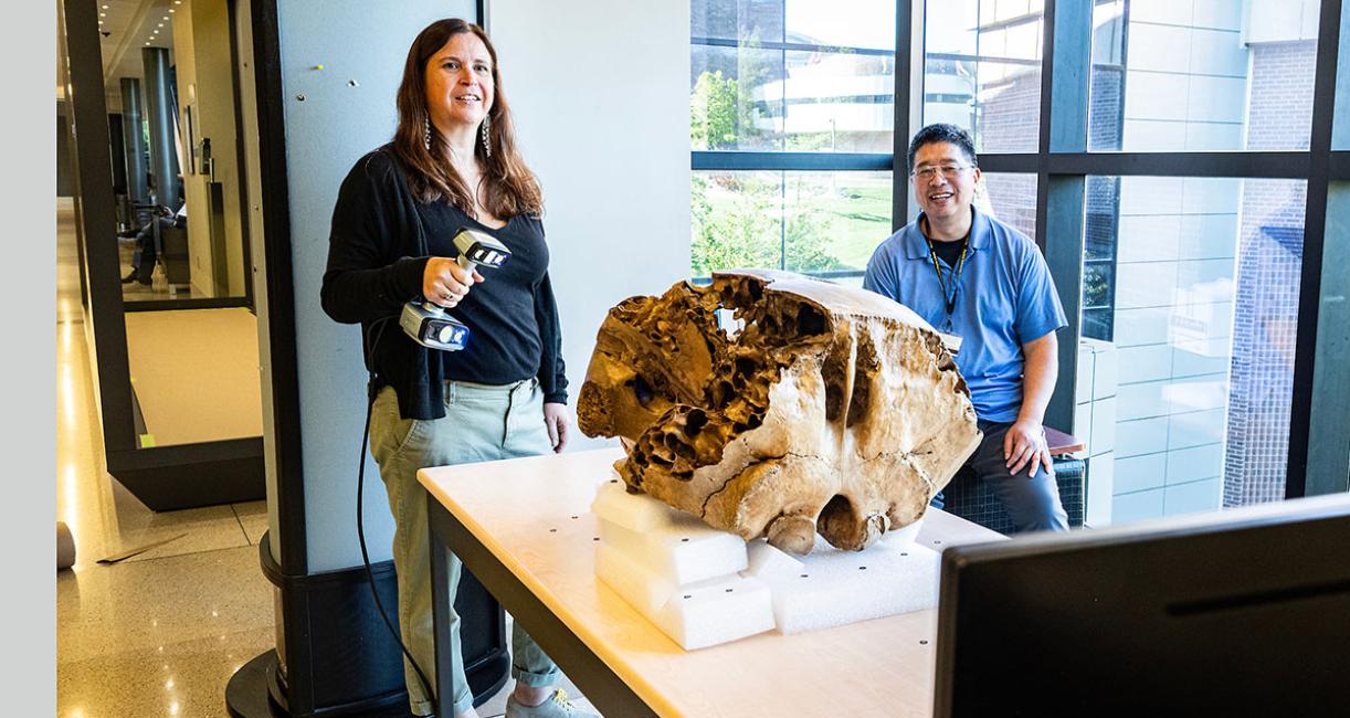 Library staffers Erika Mann and Daniel Lin were members of the team that performed a 3D scan of a baby mastodon skull.