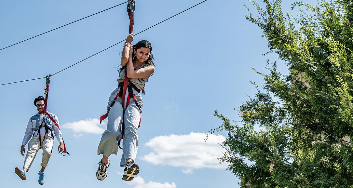 Zipline at Don's College Picnic