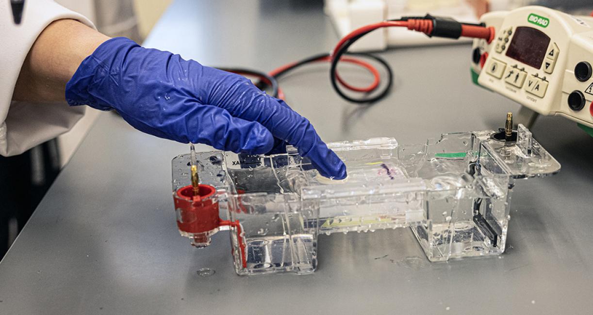 Someone is working in a lab