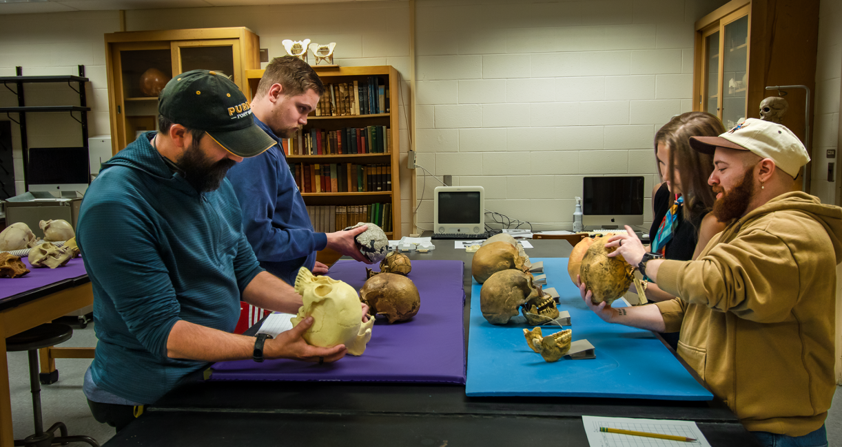COLA_Students study skulls in the ANTH Lab