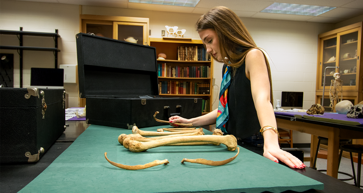 COLA_ANTH Lab student with skeletal bones