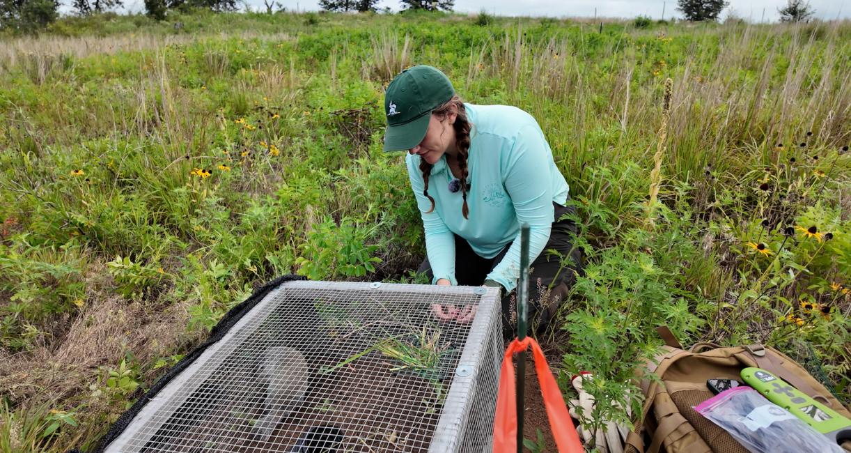 A student is working in a field