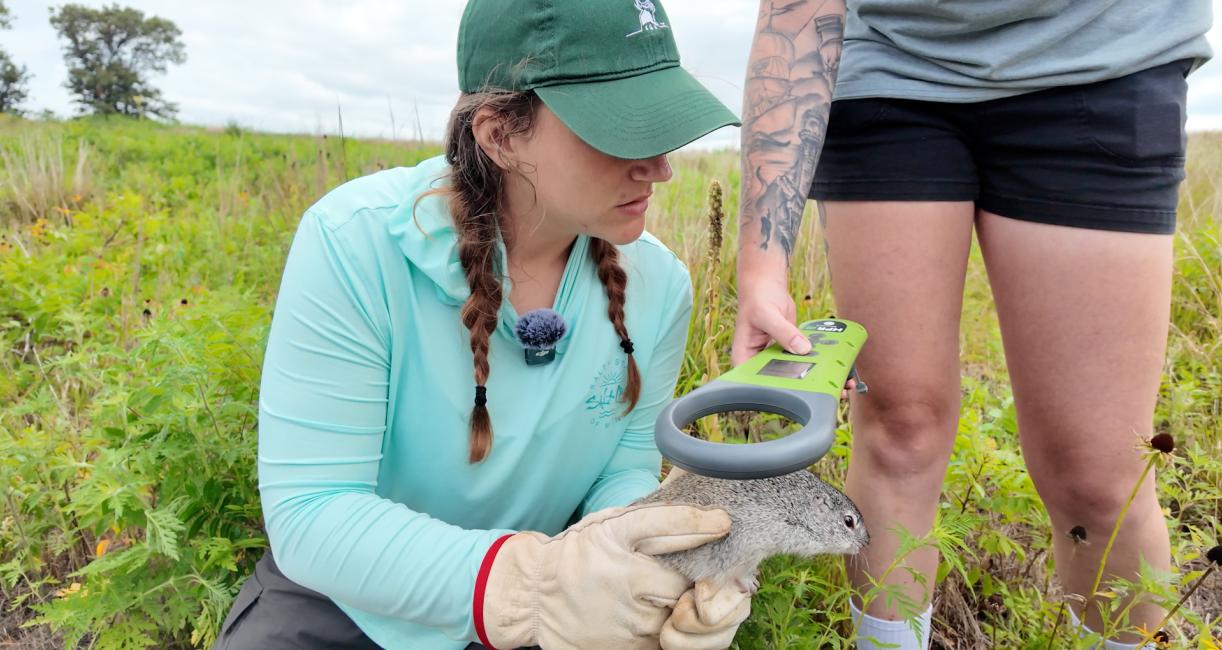 A student is holding a ground squirrel