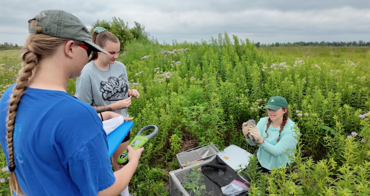 Students are working in a field