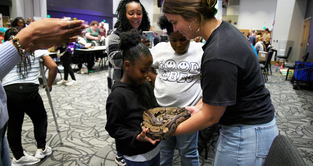 A Girl Scout is holding a big snake